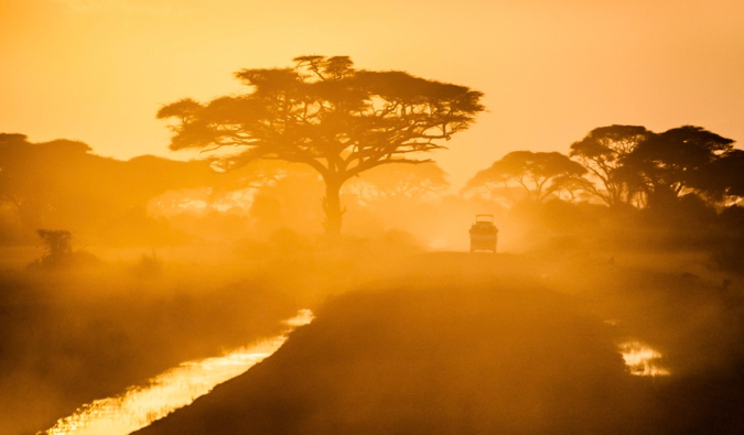 A dusty road on an African safari during a golden bright sunset