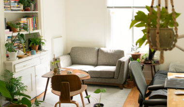 A sunny apartment with a cozy couch and green plants