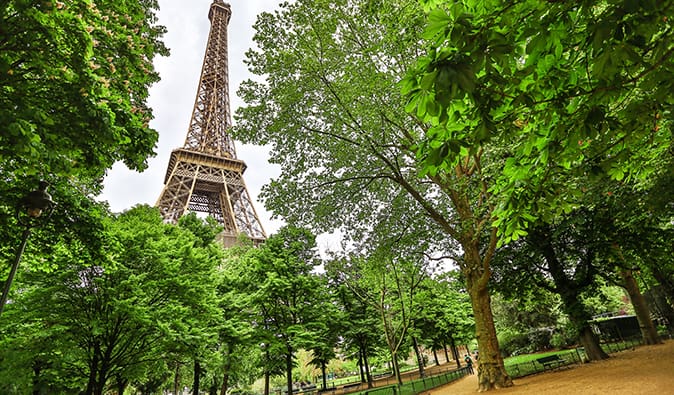 The Eiffel Tower poking through the greenery in the Champs de Mar neighborhood, Paris