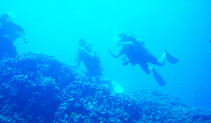 three people under water scuba diving