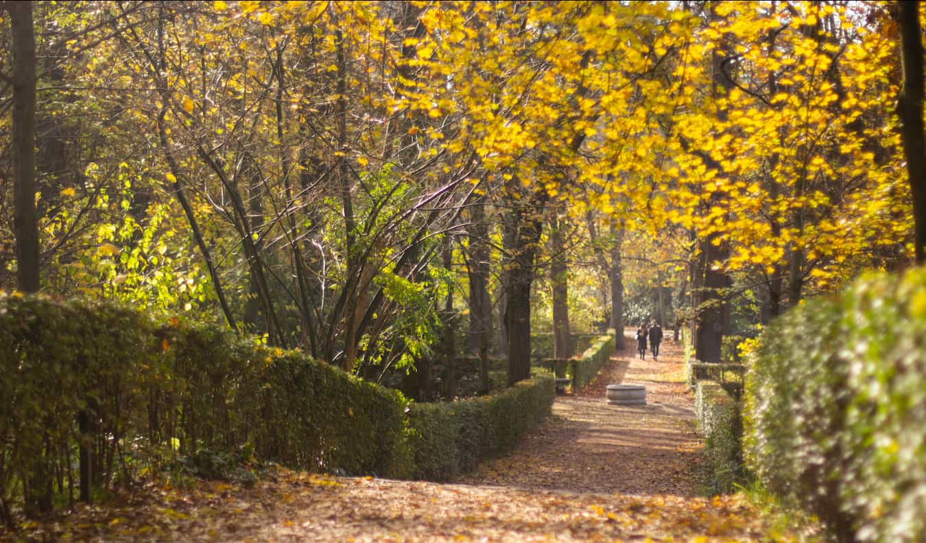 The leafy Retiro Park in the fall in Madrid, Spain