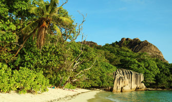 Seychelles beach scene with tropical jungle