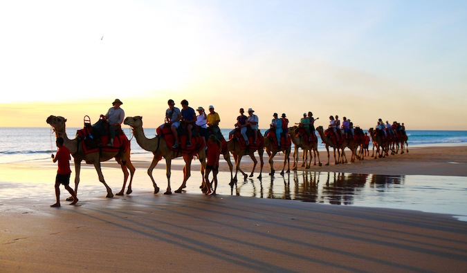 A line of camels walking along the beach in Morocco