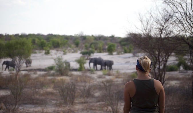 safari in southern Africa